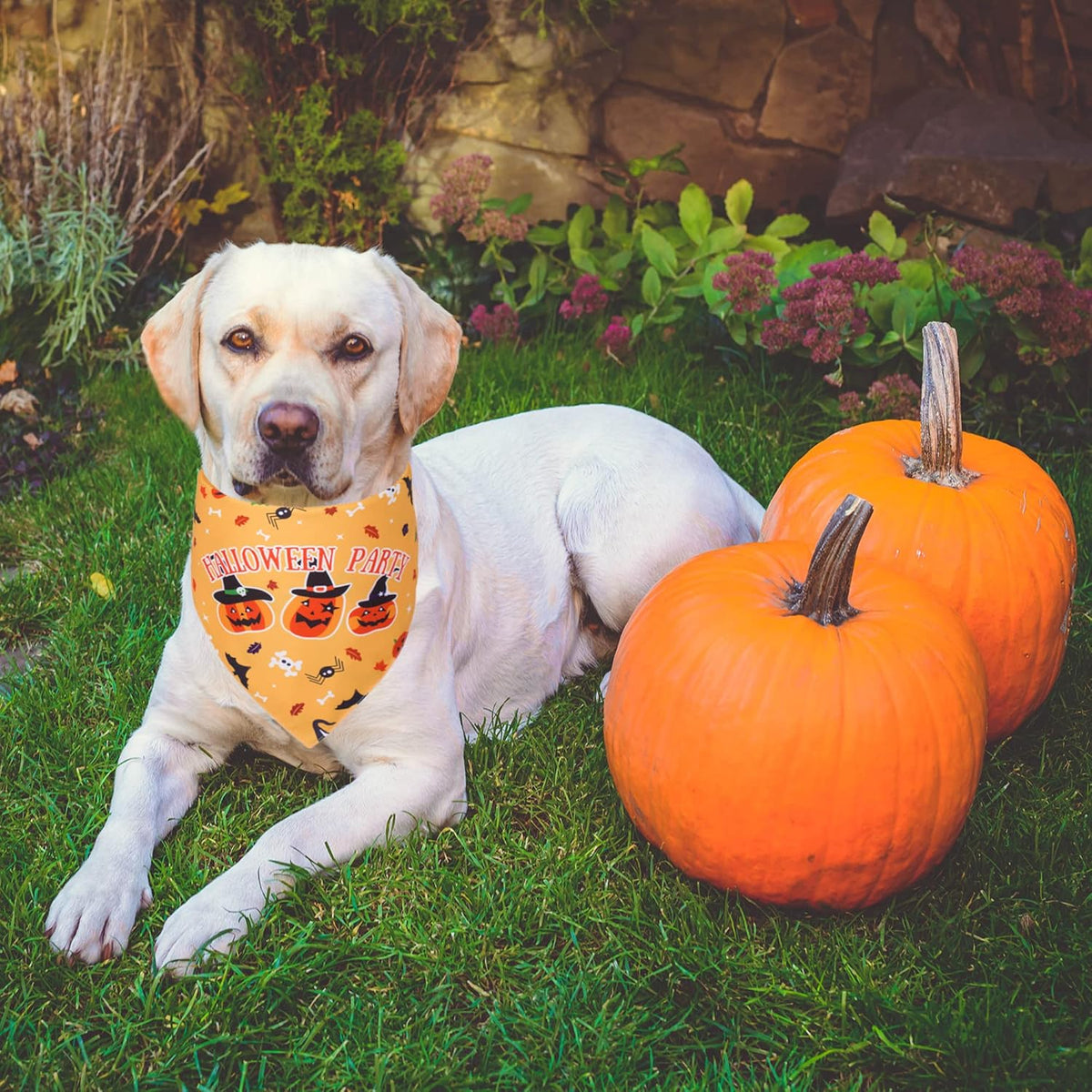 ADOGGYGO 2 Pack Halloween Dog Bandana, Reversible Triangle Dog Scarf Accessories Halloween Bandanas for Small Medium Large Dogs Pets (Purple & Yellow)