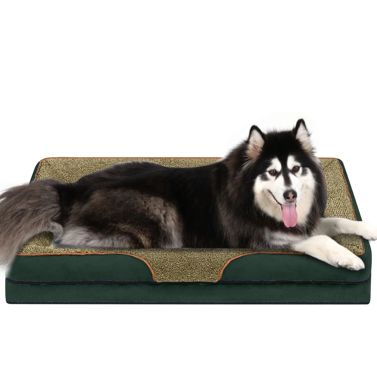 Payusd Dog Beds for Small Dogs Orthopedic Dog Bed Sofa Large Medium Small, Supportive Egg Crate Foam Pet Couch Bed with Removable Washable Cover Non Skid Bottom, S, Brown